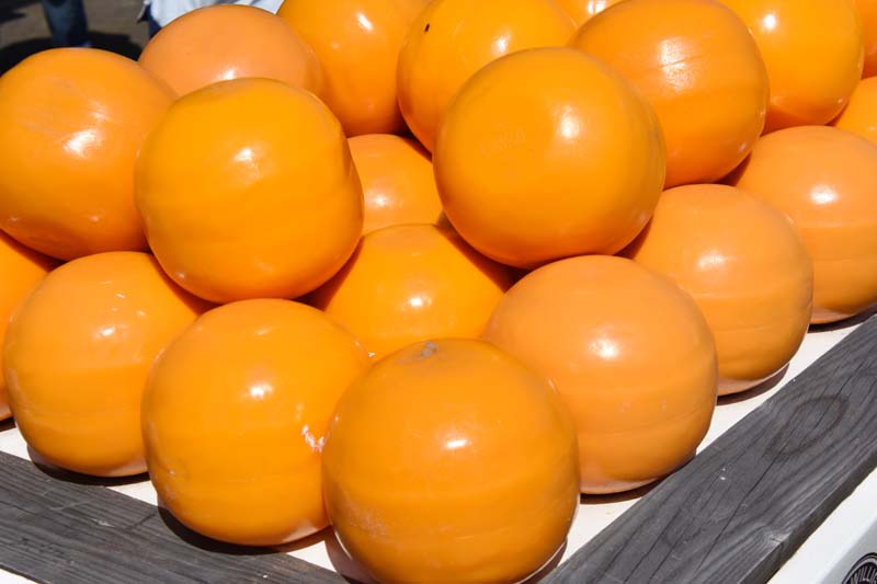 19-04-19_Edam_0321_GA2_9719