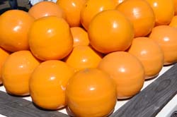 19-04-19_Edam_0321_GA2_9719